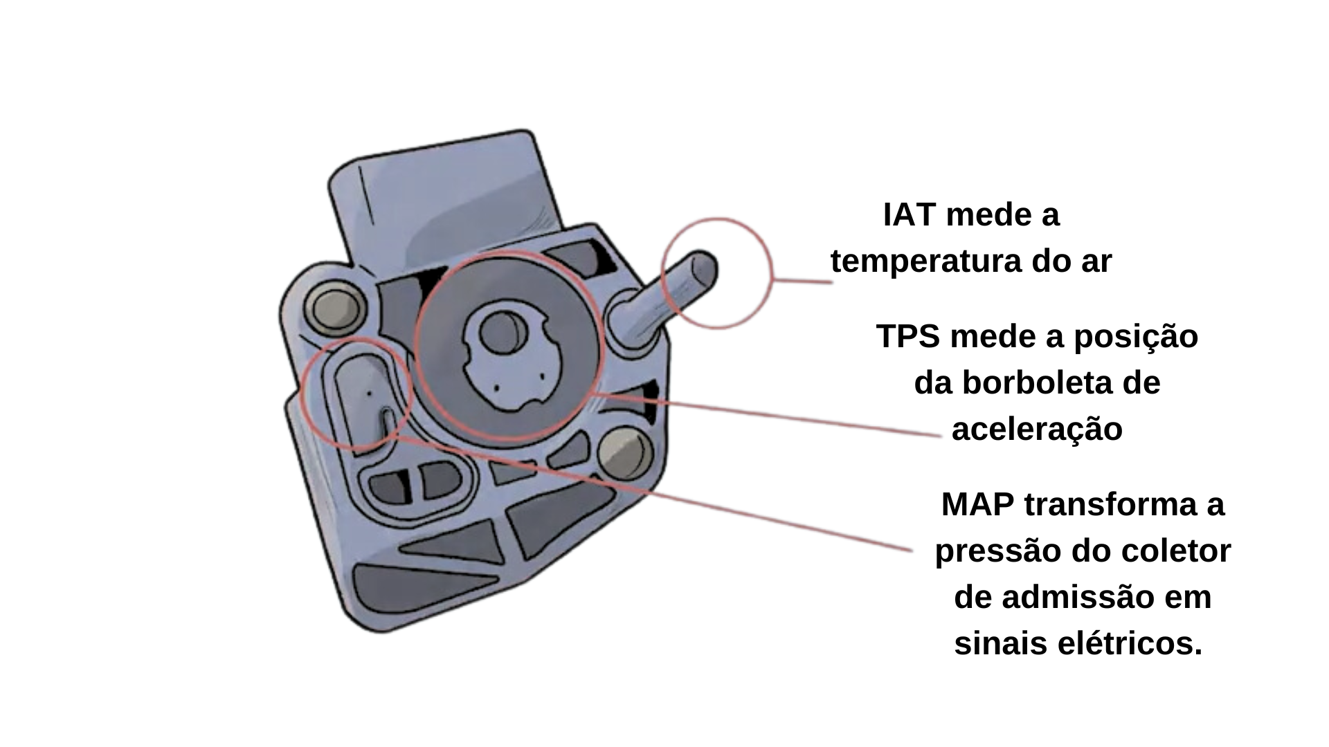 Sensor Híbrido (TPS/MAP/IAT): Função e Sintomas de Problemas - Manual ...